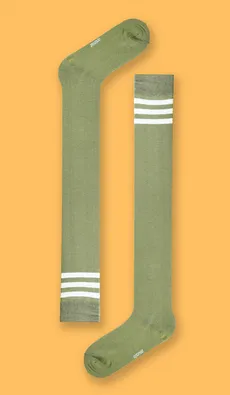 بالازانو سه خط